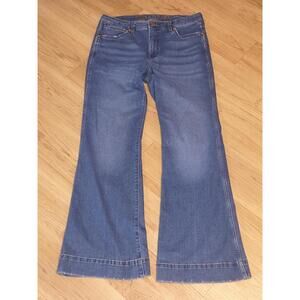 Wrangler Women's Retro Premium High Rise Trouser Jean 31x32 - 1011MPSEY